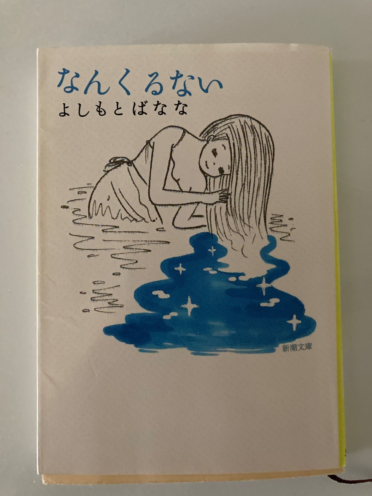 沖縄に行った気分になる小説を読んだ休日_f0009169_18461421.jpg