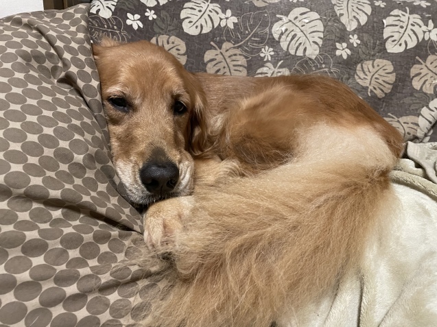 仕事疲れ。_a0394574_20201081.jpeg
