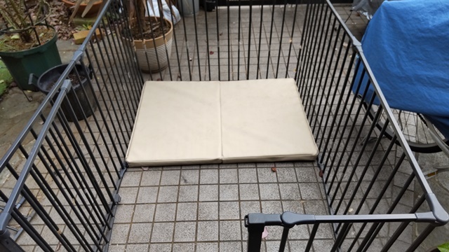 差し上げますor譲ります「ペット用サークル」_c0257276_12182182.jpg