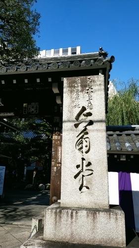 京都へ_d0195183_05531054.jpg