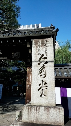 旧七夕会池坊全国華道展_d0195183_18193395.jpg