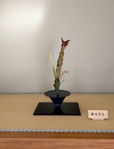 旧七夕会池坊全国華道展_d0195183_18203830.jpg