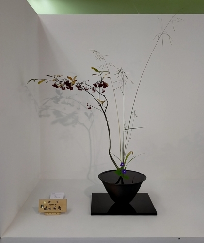 旧七夕会池坊全国華道展_d0195183_18214748.jpg
