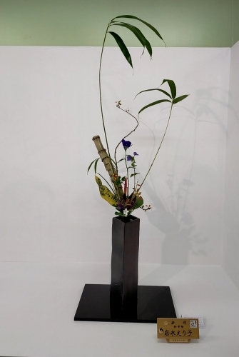 旧七夕会池坊全国華道展_d0195183_18220370.jpg