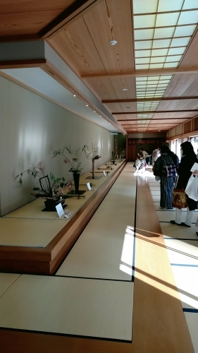 旧七夕会池坊全国華道展_d0195183_18224634.jpg