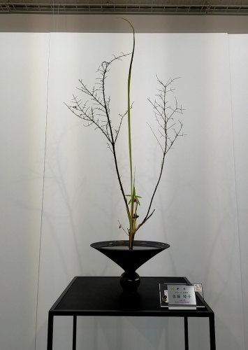 旧七夕会池坊全国華道展_d0195183_18332422.jpg