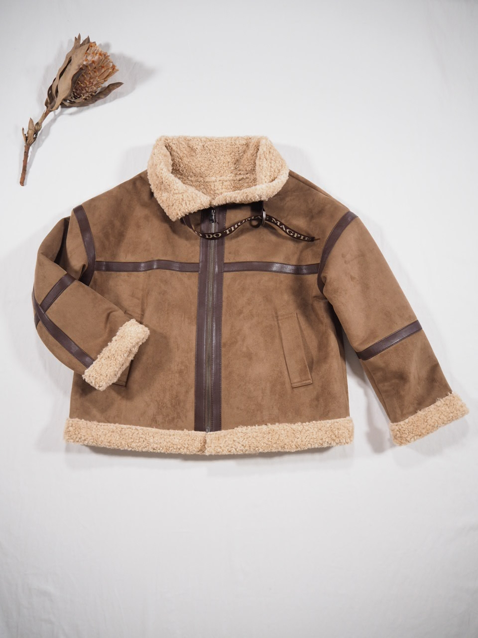 ECO Mouton_e0357389_15014262.jpg