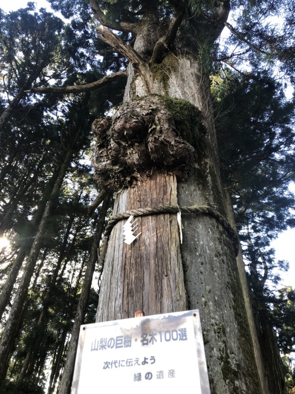 社寺建築 身延山久遠寺_a0129492_18471627.jpeg