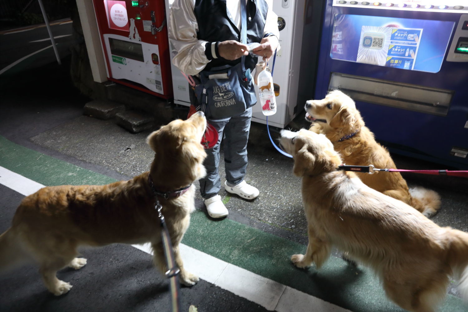 お友達色々♪_b0275998_00574671.jpg