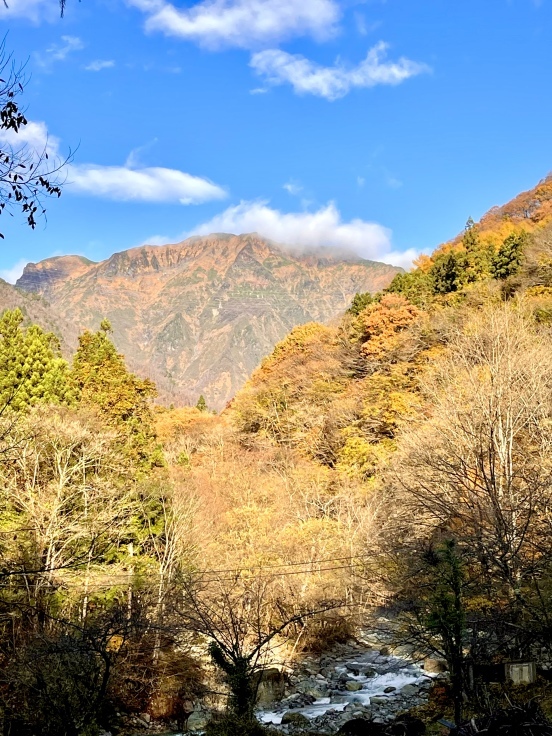 谷川沿い☆晩秋のさんぽ(水上)_c0212604_07234680.jpeg