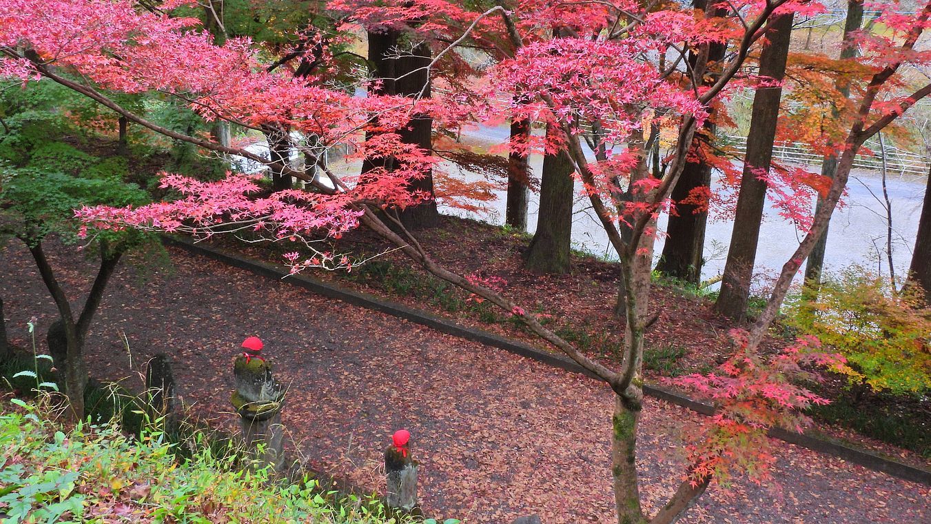 佐野市仙波の「金蔵院」と言えば今が旬の紅葉は如何に？と出掛けてみた・・・_a0031821_16272821.jpg