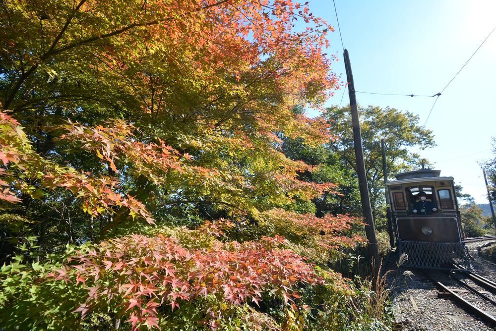 3丁目 品川燈台電停 京都市電と紅葉_e0373930_19554406.jpg