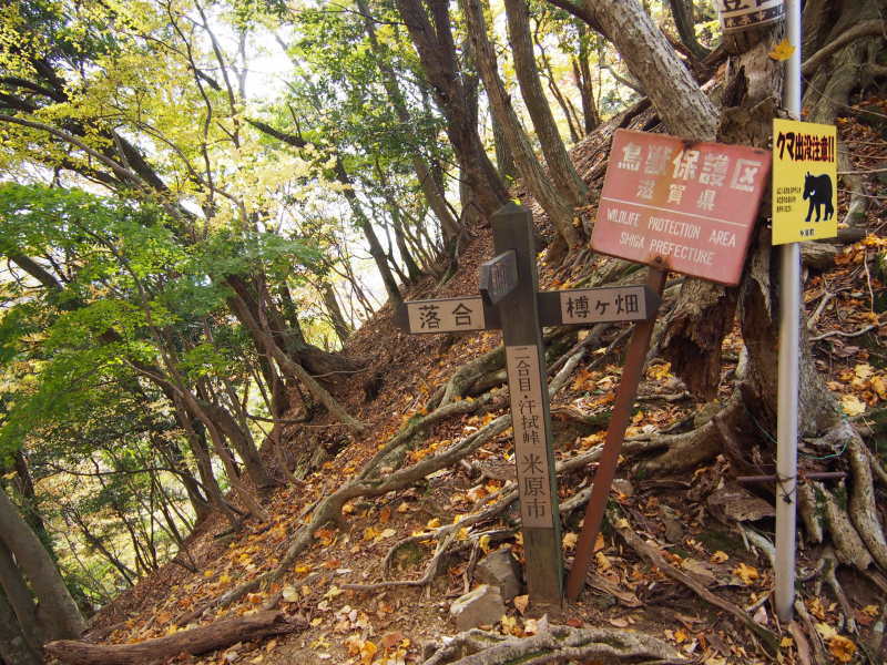 霊仙山(1083.5m)_a0271932_10120429.jpg