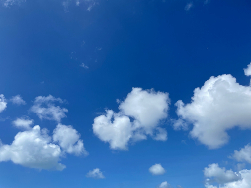⑤石垣旅は1泊2日。つまりあっという間_b0228252_12321049.jpg