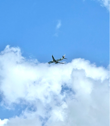 ⑤石垣旅は1泊2日。つまりあっという間_b0228252_12334603.jpg