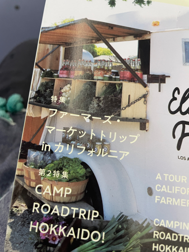 ⑤石垣旅は1泊2日。つまりあっという間_b0228252_12415691.jpg