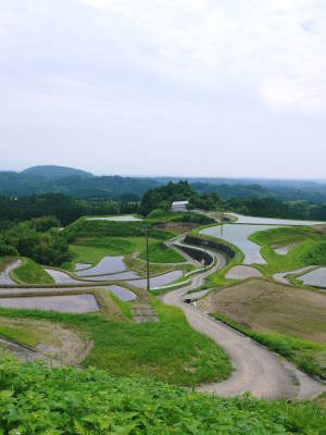 令和6年度の熊本県産新米の販売スタート!ここでしか買えないお米その3:水にこだわる匠の『菊池水源棚田米(ひのひかり)』_a0254656_18110658.jpg
