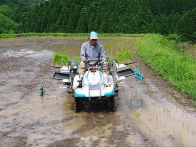 令和6年度の熊本県産新米の販売スタート!ここでしか買えないお米その3:水にこだわる匠の『菊池水源棚田米(ひのひかり)』_a0254656_18223463.jpg