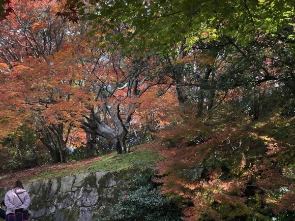 ちょっとだけ、紅葉狩り_d0105063_20592196.jpeg