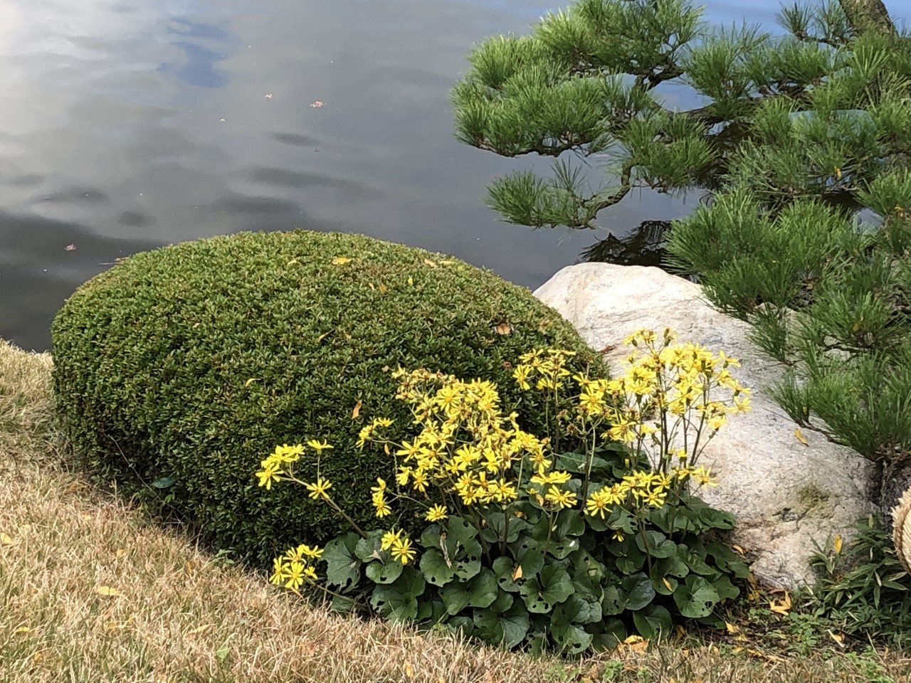 ちょっとだけ、紅葉狩り_d0105063_20592534.jpeg