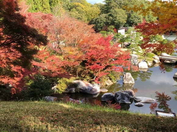 ちょっとだけ、紅葉狩り_d0105063_20595581.jpeg