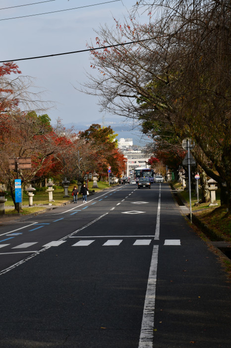 滋賀紅葉徘徊2021 日吉大社_f0374895_23432453.jpg