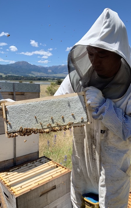 完全非加熱の蜂蜜を日本で見つけるのは難しい　京都府W様より_a0079306_07235091.jpg