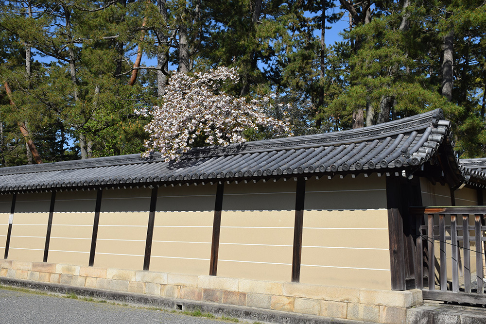 秀吉が最後に築いた幻の城、京都新城。_e0158128_17313513.jpg