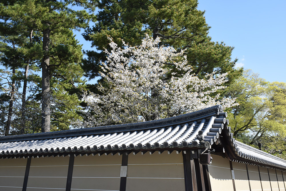 秀吉が最後に築いた幻の城、京都新城。_e0158128_17432950.jpg