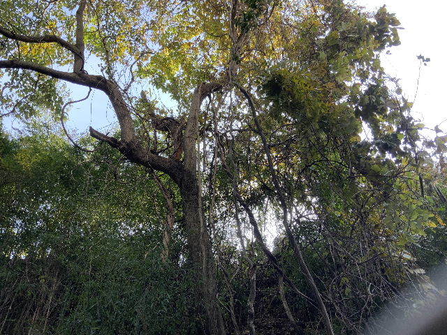 K物件4日目・challenge again 破損 追加 多忙_f0031037_19095802.jpg