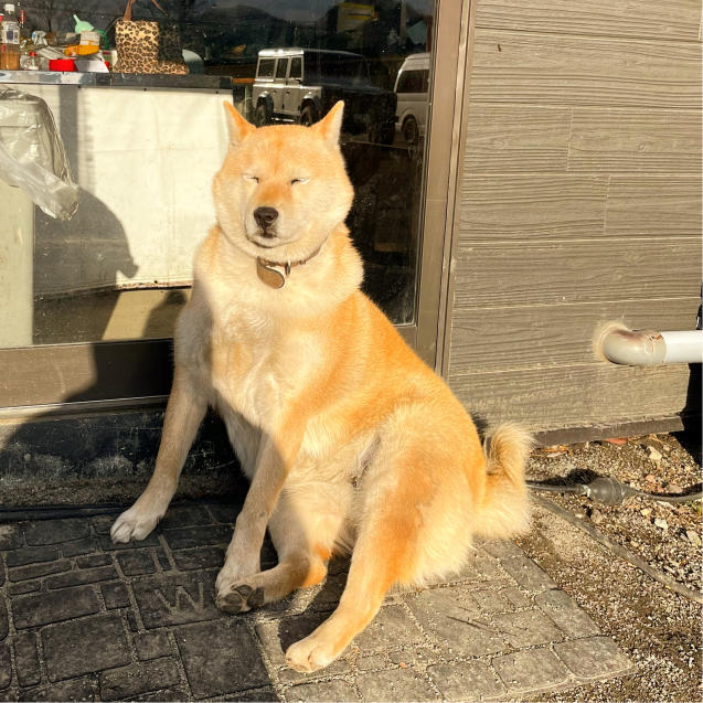 直で焚き火ok!ワンダーランドサッポロで夏キャン納めしてきました!_d0197762_14431854.jpg