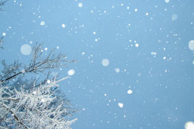 12/5(日)みんなのライブ2021〜winter〜_f0198086_22511797.jpeg