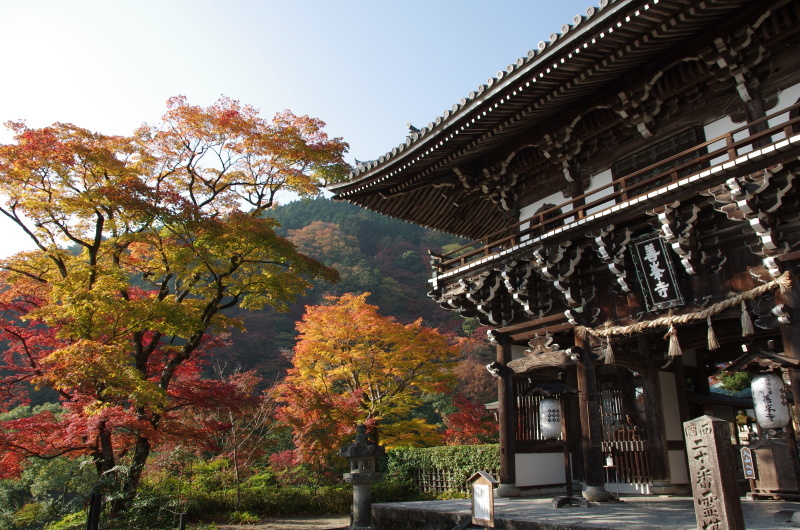 善峯寺 紅葉_c0382798_04374535.jpg