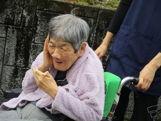 11/18　朝の散歩_a0154110_10074458.jpg