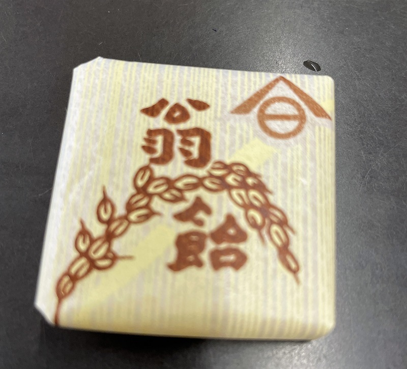 花壇の改善とタフなBRZ _f0076731_15131250.jpg
