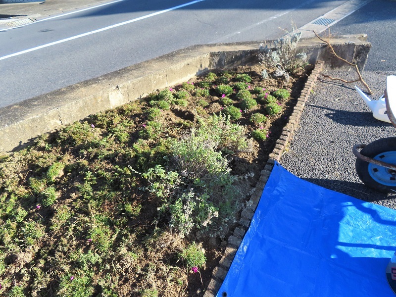 花壇の改善とタフなBRZ _f0076731_15300167.jpg