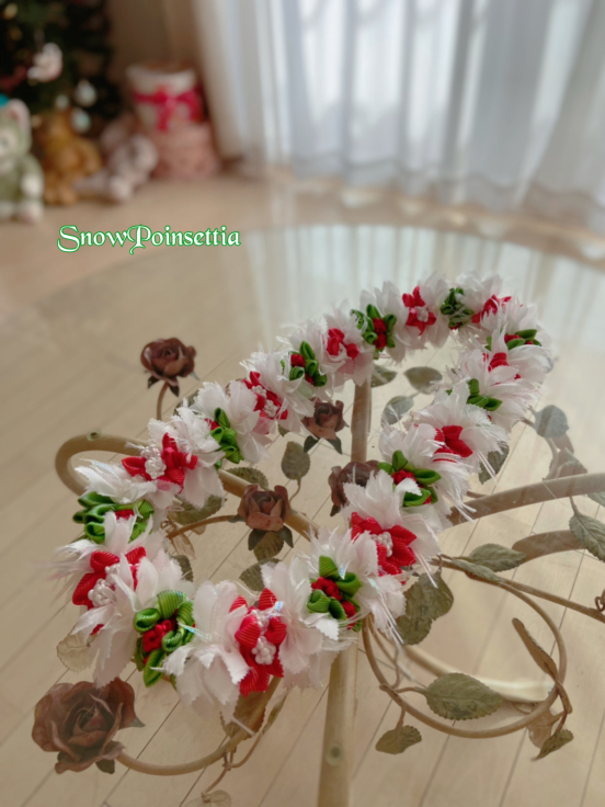 SnowPoinsettia🎄_f0017548_09541094.jpg