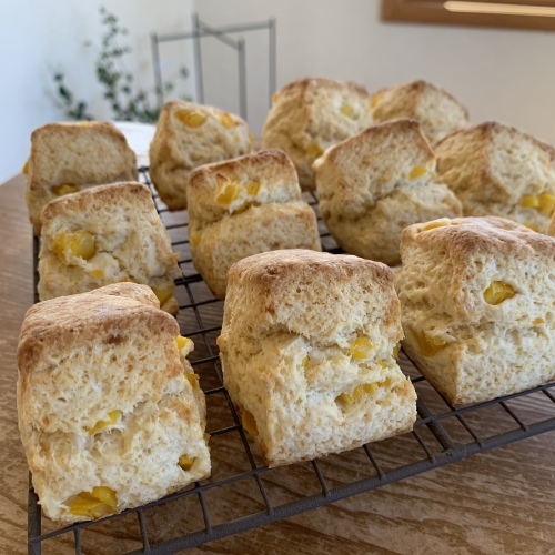 まさかの動画撮影に挑戦しました 食育事業 乞うご期待_a0134394_05443330.jpeg