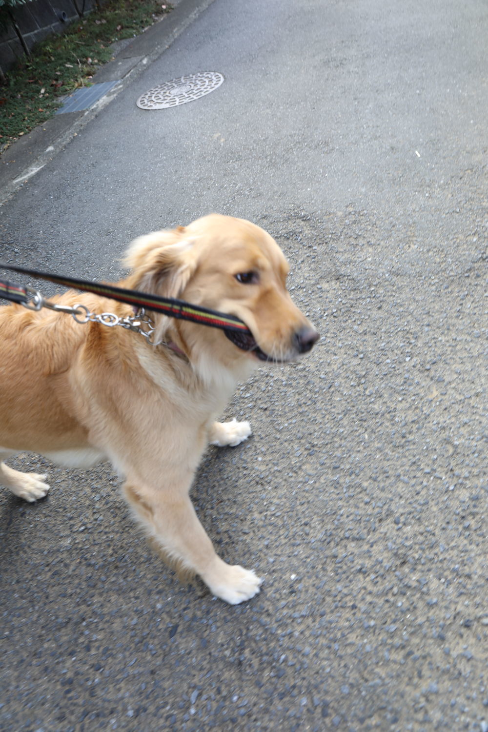 ニコニコさん♪_b0275998_11554159.jpg