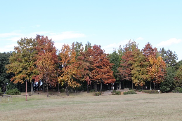 稲沢市荻須記念美術館_a0147813_23301131.jpg