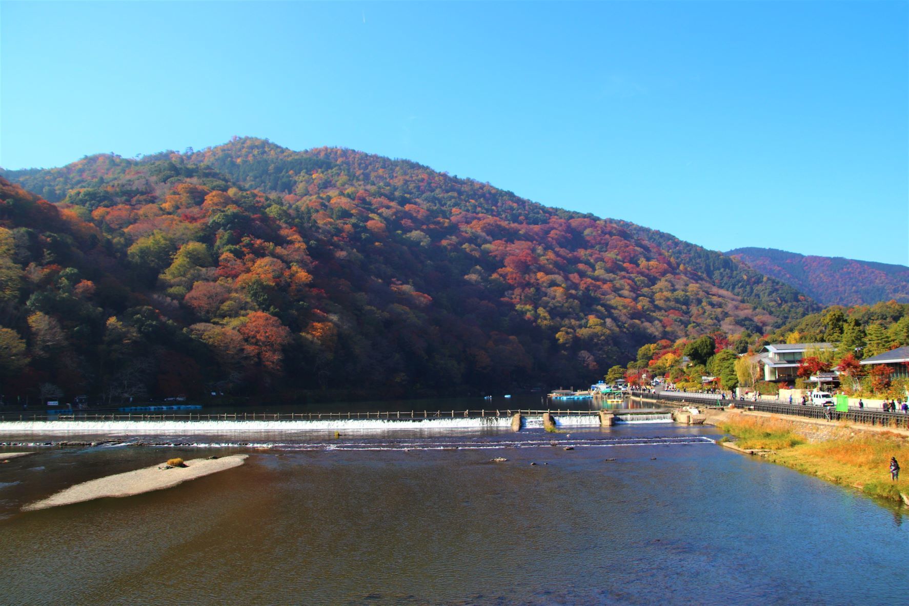 嵐山渡月橋から亀山公園　盛り_e0048413_21063475.jpg