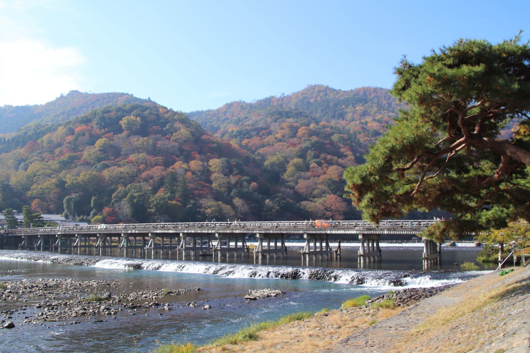 嵐山渡月橋から亀山公園　盛り_e0048413_21063808.jpg