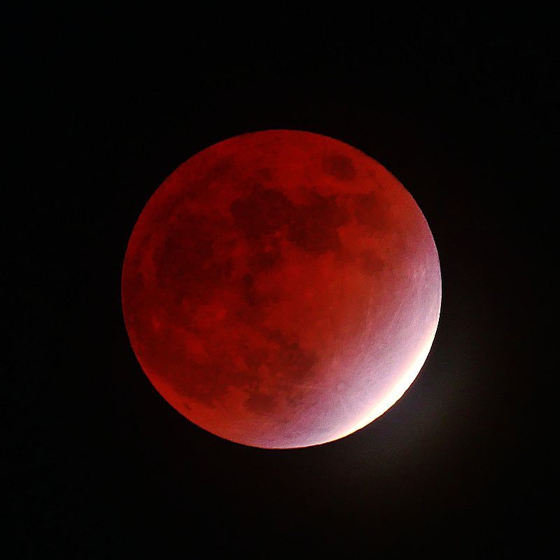 この赤銅色の神秘♪　ほぼ皆既月食！　撮りましたか？♪　１１月１９日_a0031821_16364756.jpg