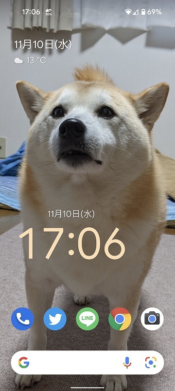モヒカン犬(Pixel 5a)_e0374932_13325302.jpg