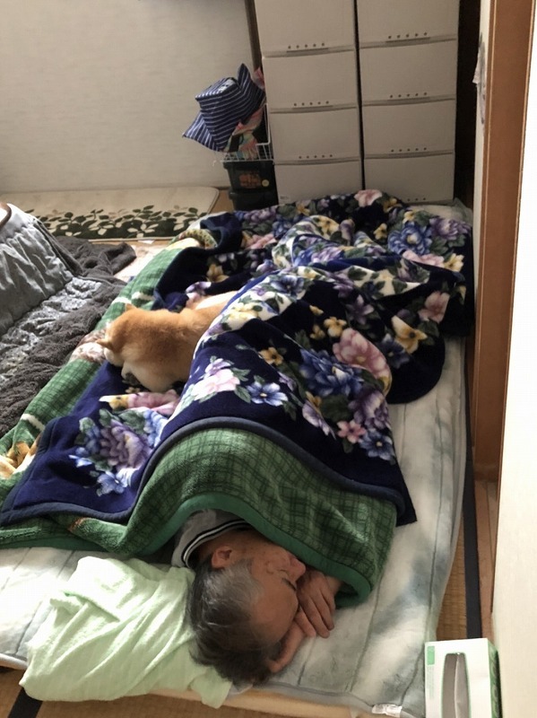 モヒカン犬(Pixel 5a)_e0374932_13333464.jpg