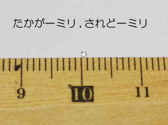NSFの予約開始?ですやん!_f0056935_18592575.jpg