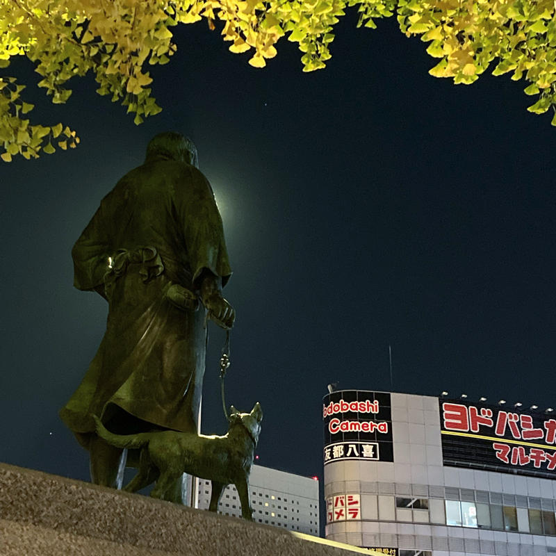 夜の散歩、浅草から上野へ_c0060143_14533434.jpg