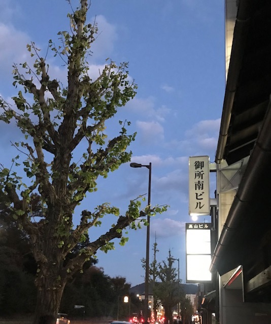 サローネお客様・更紗着物・自作の帯〆・鳥の帯・雀のお宿_f0181251_19412916.jpg