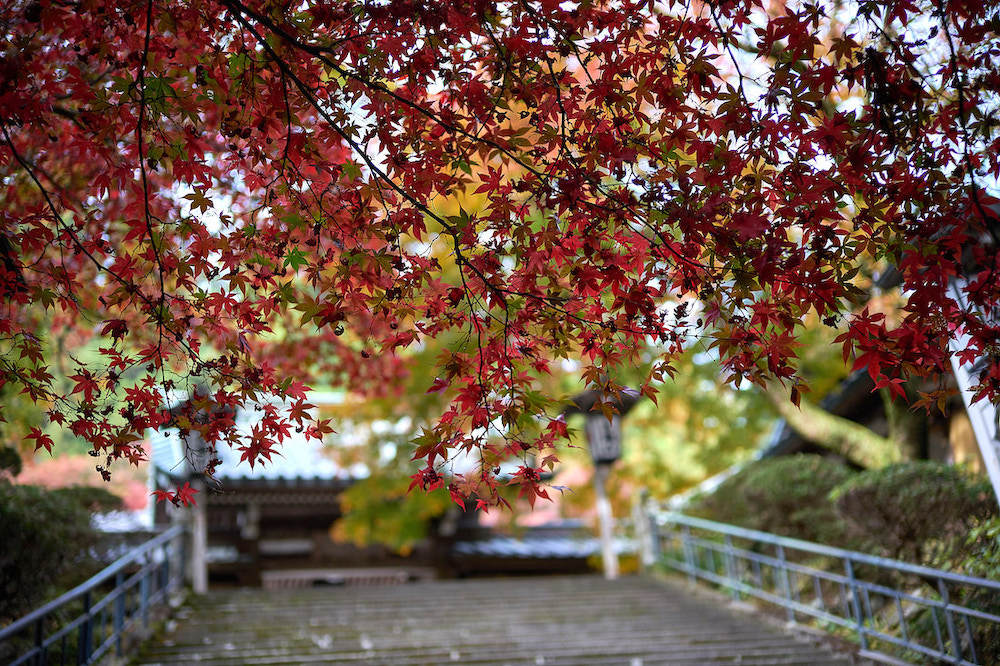 　秋色の最乗寺_d0175768_11090955.jpg