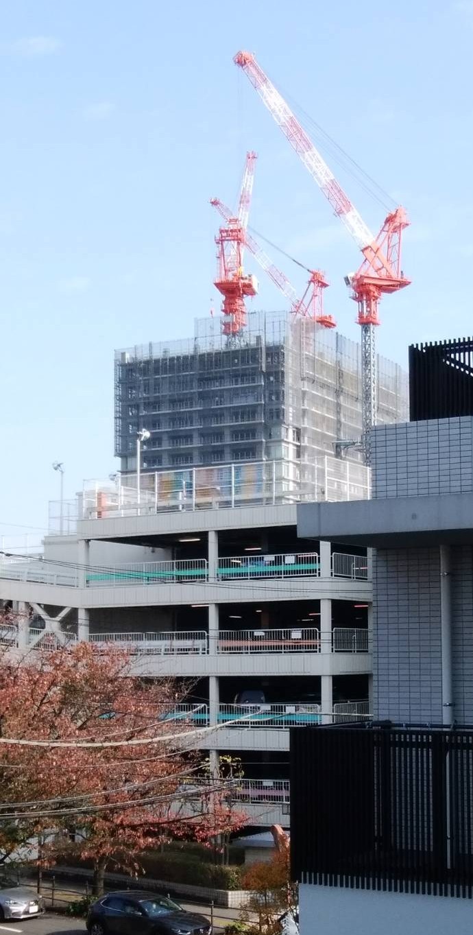 独居老人奮闘記 独居老人奮闘記